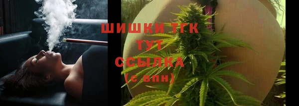 соль ск Туринск