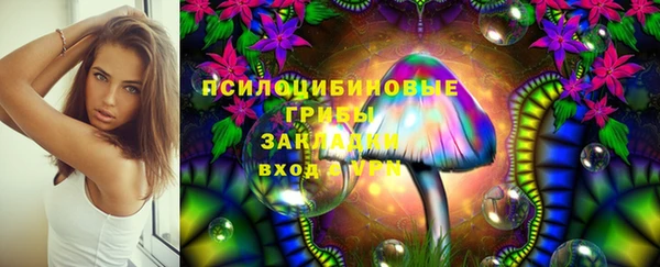 гашик Тында