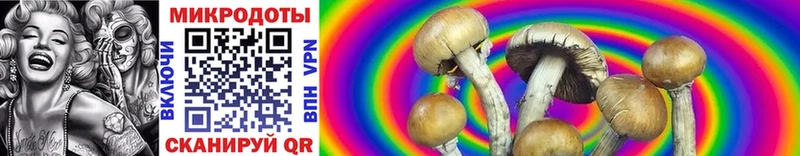 дарнет шоп  Удачный  KRAKEN ссылка  Псилоцибиновые грибы Cubensis 